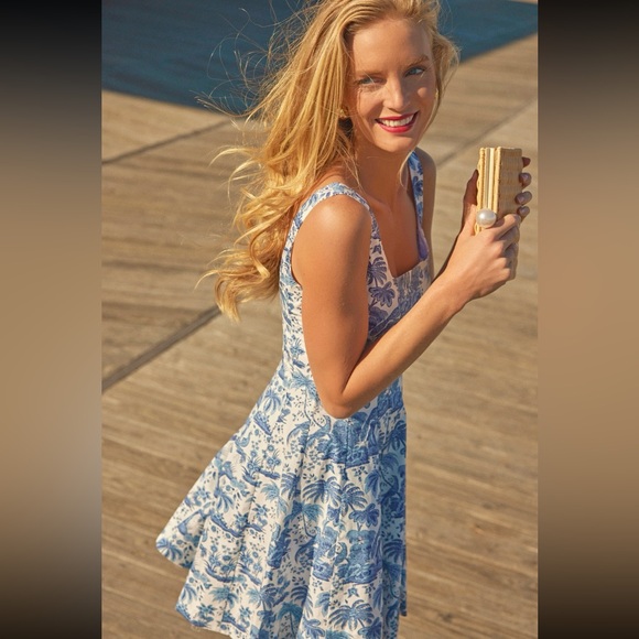 🌺🎉HP🎉🌺 NWT Staud Wells Mini Dress Blue Toile - Picture 3 of 16